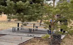 Шок в столичном парке: мужчина средь бела дня разделывал фазанов рядом с детской площадкой