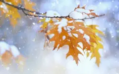 Снежная погода придет на север Казахстана