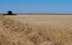 Для аграриев внедрят механизм кредитных линий