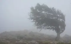 Дожди и снегопады ожидаются в ближайшие три дня