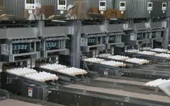 В Казахстане появится пять предприятий по глубокой переработке сельхозпродукции