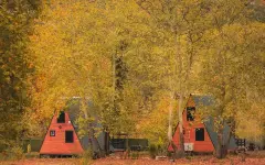 Казахстанцы арендовали домики для отдыха и только на месте узнали, что их обманули