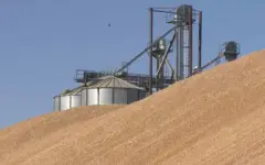 Нетрадиционные рынки: куда Казахстан экспортирует зерно