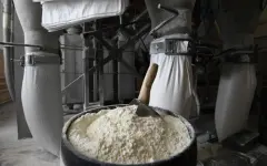 Премьер поручил привлекать инвестиции в проекты переработки продукции АПК