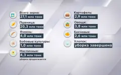 27 миллионов тонн зерна собрали казахстанские аграрии