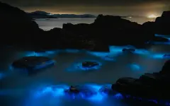 Под водами Антарктики выявили таинственное свечение