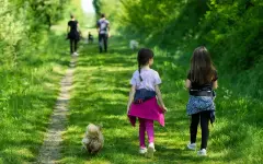 Вооруженный разбитой бутылкой бездомный изрезал лицо третьеклассницы