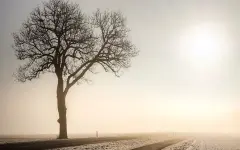 Туман, метель и дожди: сразу несколько областей Казахстана окажутся под ударом стихии