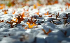 Синоптики сообщили хорошую новость: зимние морозы отступят и в Казахстан вернется тепло до +15°C