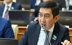 «Сами голосуем, а потом без стыда говорим не так»: депутат Ринат Заитов сделал замечание коллегам