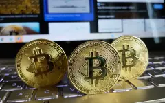 Средства Нацфонда и золотовалютные резервы могут вложить в криптоактивы