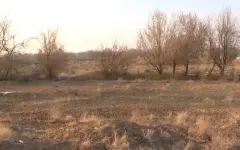 97 тыс. га сельхозземель области Жетысу вернули в госсобственность