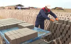Кирпичный завод и мясокомбинат построят в области Ұлытау