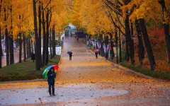 Теплая погода вернется в Казахстан