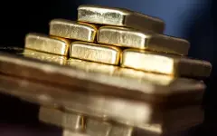 Француз хотел построить бассейн, а нашел золото на 700 тысяч евро