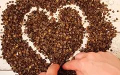 Грильяж с гречкой выпустили в Беларуси