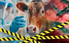 Дома, школы, детсады и предприятие могут снести в Алматинской области из-за сибирской язвы