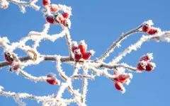 Снежная погода сохранится в ряде областей Казахстана