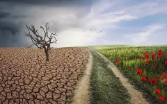 2025 год может стать одним из самых жарких в истории