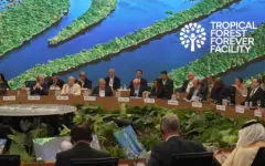COP30: запущен фонд спасения тропических лесов