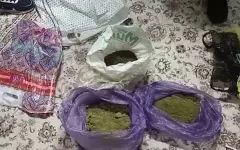 Свыше 422 кг наркотиков изъяли полицейские в Астане