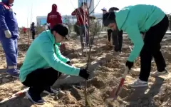 100 деревьев высадили в молодежном парке Актау