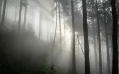 Туман, снег и дождь: прогноз погоды на 9 ноября по Казахстану