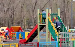 В Алматы родители пожаловались на тараканов и волосы в еде детсада