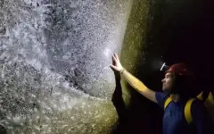 Учёные обнаружили крупнейшую колонию пауков