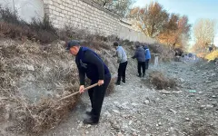 В Приаралье с начала года высажено более 255 тыс. саженцев деревьев