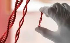 Анализ ДНК помог открыть преступление 2016 года в Астане