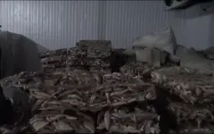 Более 75 тонн филе судака незаконно экспортировали в Европу из Кызылординской области