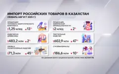 В Казахстане вырос импорт товаров из России