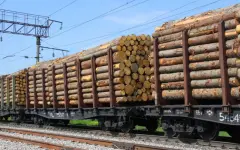 Ввести полугодовой запрет на вывоз древесины за пределы ЕАЭС планируют в Кыргызстане