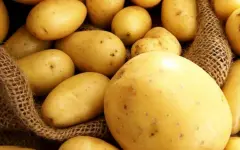 Борьба с высокими ценами: 4,5 миллиарда тенге выделили стабфонду в Актюбинской области