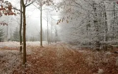 Туман, дождь и метель: синоптики объявили на вторник штормовое предупреждение