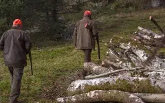 Охота на животных и птиц: изменения в правила