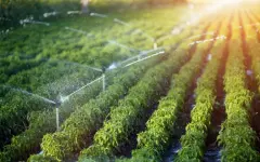 Систему заключения электронных договоров по подаче поливной воды тестируют в РК