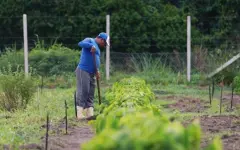 Как изменение климата влияет на сельское хозяйство