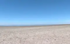 Лимиты на посевы риса пересмотрели в Туркестанской области