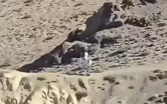 Военные впервые засекли на границе Индии китайского человекоподобного робота