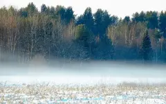 Какие регионы Казахстана затронуло штормовое предупреждение