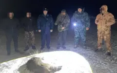 Охота в Костанайской области закончилась уголовным наказанием