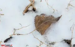 Прогноз погоды в Казахстане на 6 декабря