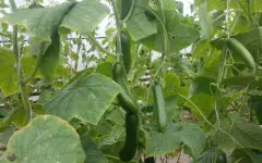 Капля речку сбережет