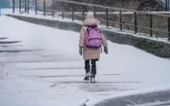 Учащихся начальных классов столичных школ перевели на онлайн-обучение