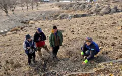 Найти и сохранить