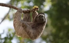 Астрологи назвали знаки зодиака, которым стоит замедлиться