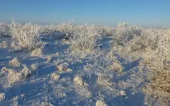 Мужчина провел ночь в степи Северного Казахстана из-за поломки авто