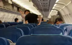 Крыса устроила переполох на борту рейса KLM